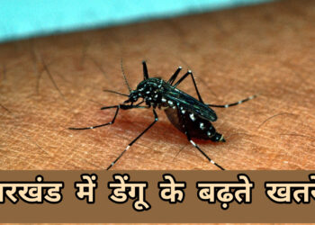 राजधानी सहित झारखण्ड के कई जिलों में बढ़ रहा है डेंगू का खतरा!