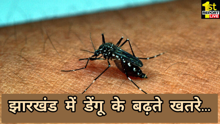 राजधानी सहित झारखण्ड के कई जिलों में बढ़ रहा है डेंगू का खतरा!