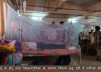 झारखंड में डेंगू तथा चिकनगुनिया के मामले बढ़े, डेंगू से पीड़ित 1111 लोग!