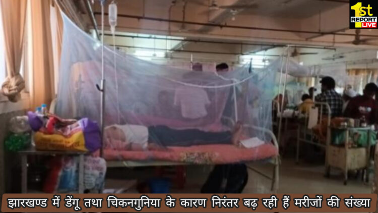 झारखंड में डेंगू तथा चिकनगुनिया के मामले बढ़े, डेंगू से पीड़ित 1111 लोग!