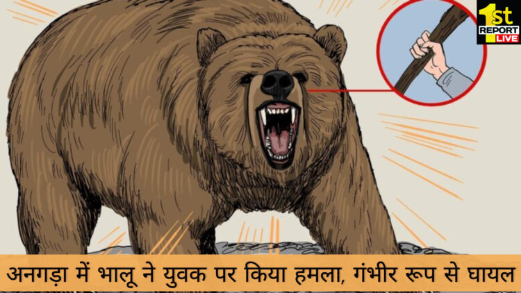 बिग ब्रेकिंग: अनगड़ा में भालू ने किया हमला युवक गंभीर रूप से घायल!