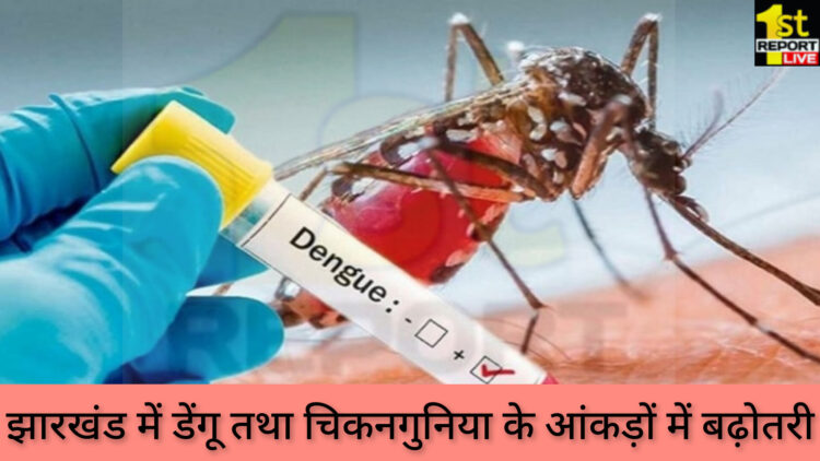 झारखंड में डेंगू तथा चिकनगुनिया के मरीजों में बढ़ोतरी, साहिबगंज पहले स्थान पर!