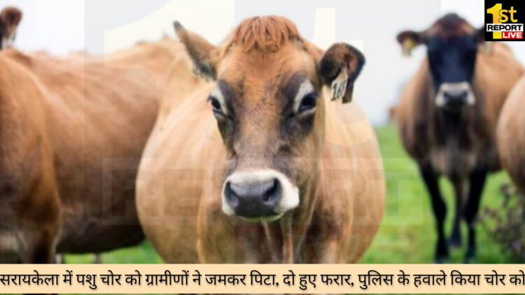 सरायकेला में पशु चोर को ग्रामीणों ने जमकर पिटा, दो हुए फरार!
