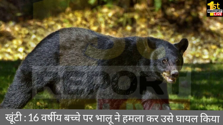 खूंटी में बच्चे पर भालू ने हमला कर किया घायल!