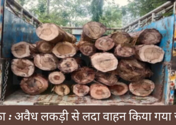 दुमका में पुलिस ने अवैध लकड़ी से लदा वाहन किया जब्त!