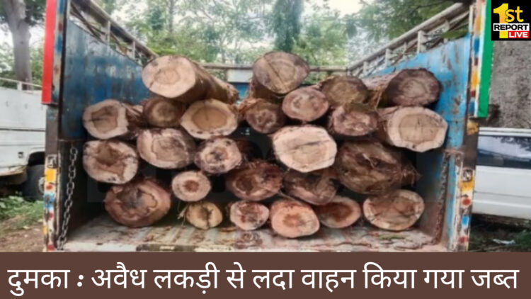 दुमका में पुलिस ने अवैध लकड़ी से लदा वाहन किया जब्त!