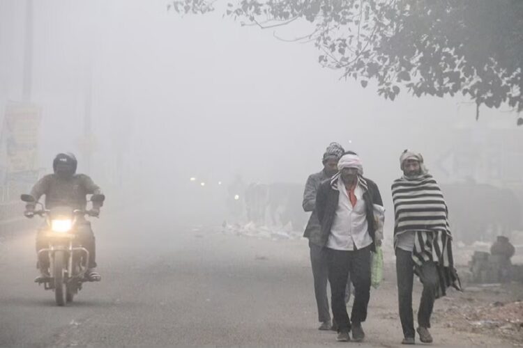 झारखंड में ठंड का कहर जारी है। कई हिस्सों में शीतलहर चल रही है!