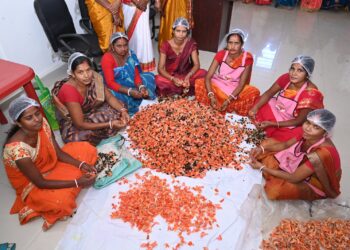 रांची के प्रमुख स्थानों पर 9 से 13 मार्च तक पलाश होली स्पेशल डिस्प्ले स्टॉल लगाए गए !