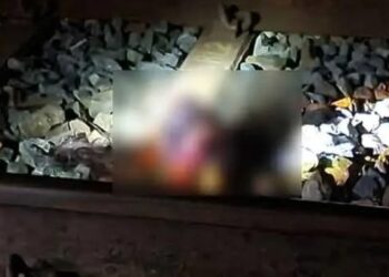 महिला का शव क्षत-विक्षत अवस्था में पाया गया है !