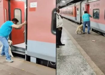 चलती ट्रेन से गिरकर कुत्ते की बाल-बाल बची जान !