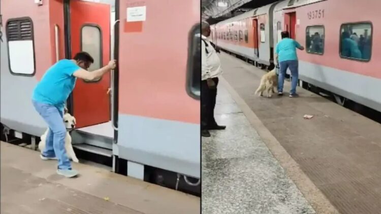 चलती ट्रेन से गिरकर कुत्ते की बाल-बाल बची जान !