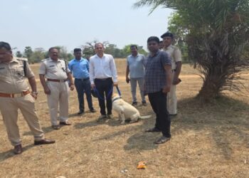 एक महिला का शव मिलने से सनसनी फैल गई !