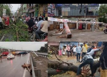 बिहार में आंधी-बारिश और बिजली गिरने से तबाही !