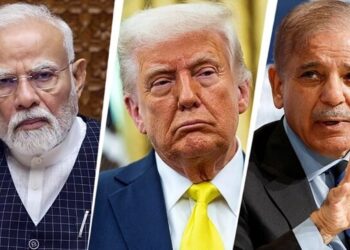 अमेरिका की मध्यस्थता  !