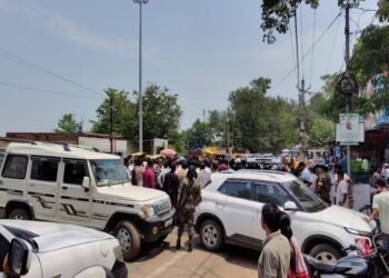 जंगली हाथियों ने युवक को कुचलकर मारा !