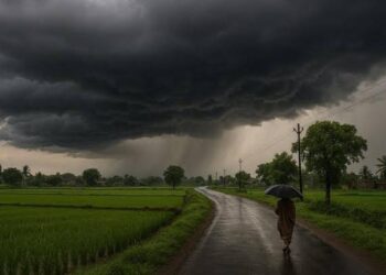 झारखण्ड में मॉनसून का असर शुरू हो गया है !