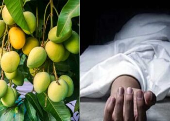 आम तोड़ने के विवाद में 2 सगे भाइयों में मारपीट !