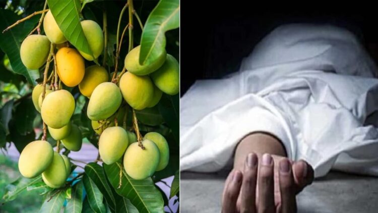 आम तोड़ने के विवाद में 2 सगे भाइयों में मारपीट !