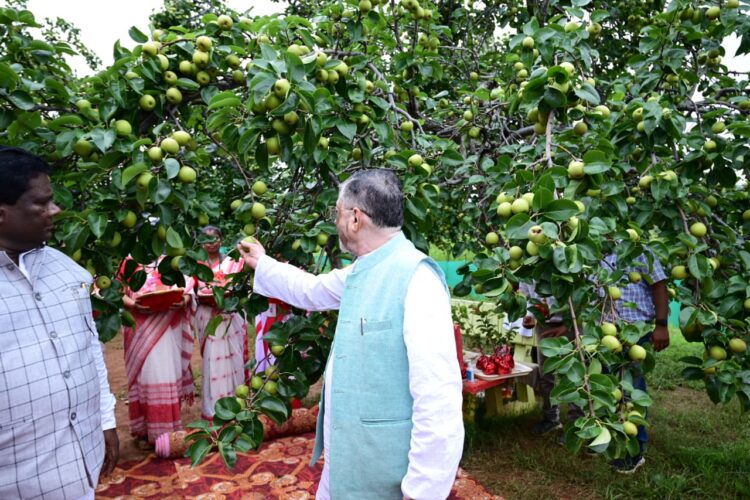 राज्यपाल ने नेतरहाट आवासीय विद्यालय, प्राथमिक स्वास्थ्य केन्द्र एवं नाशपाती बागान का भ्रमण किया !