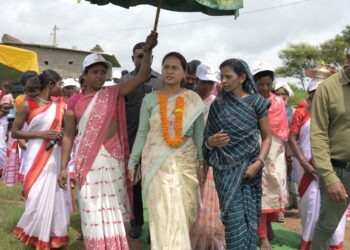 खेत ही नहीं पेड़ से भी किसान हो सकते है आर्थिक रूप से समृद्ध – शिल्पी नेहा तिर्की !