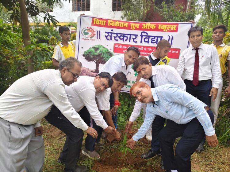 संस्कार विद्या नॉलेज सिटी के प्रांगण में आयोजित किया गया वन महोत्सव !