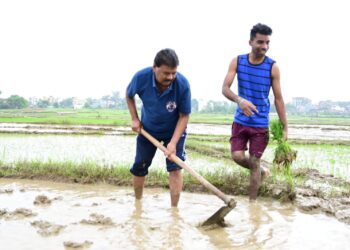 पूर्व मंत्री बंधु तिर्की ने ग्रामीणों के साथ धान रोपनी !