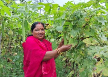 करेला से स्ट्रॉबेरी तक ड्रिप सिंचाई बनी महिला किसानों के बदलाव की मिसाल !