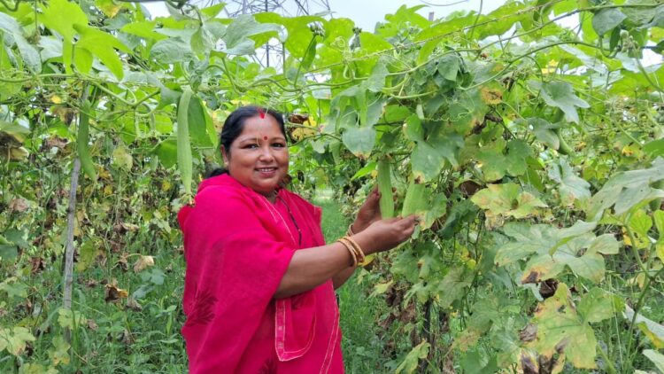 करेला से स्ट्रॉबेरी तक ड्रिप सिंचाई बनी महिला किसानों के बदलाव की मिसाल !