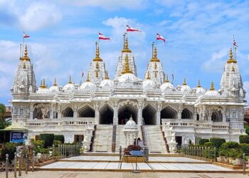 दुर्गा पूजा को लेकर एक से बढ़कर एक पंडाल का निर्माण हो रहा !