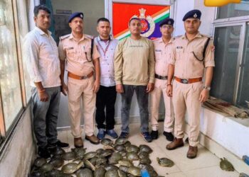 योग नगरी ऋषिकेश–हावड़ा दून एक्सप्रेस (गाड़ी संख्या 13010) से भारी मात्रा में कछुओं की तस्करी !