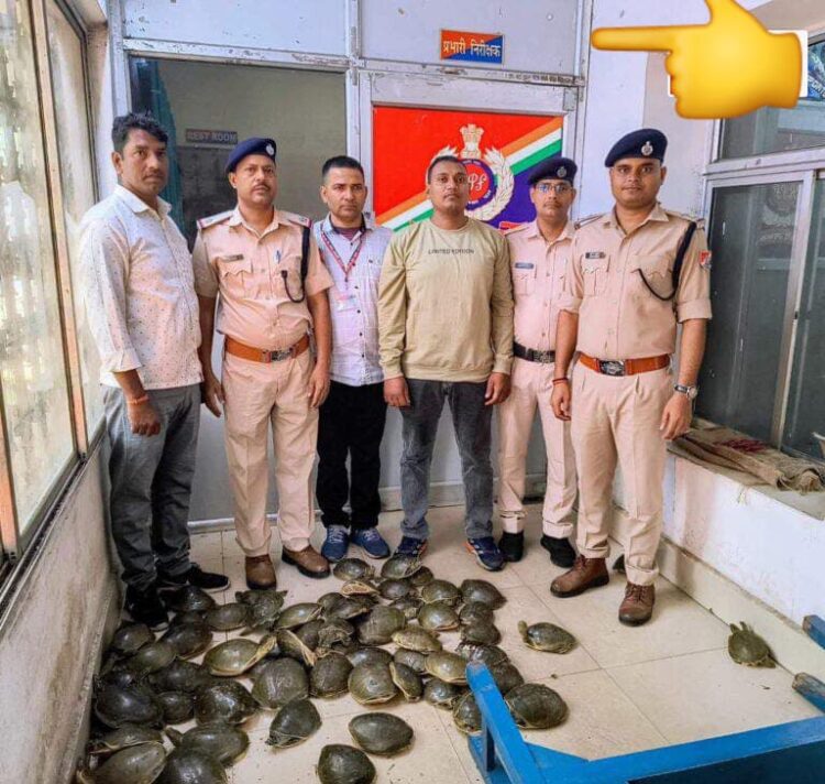 योग नगरी ऋषिकेश–हावड़ा दून एक्सप्रेस (गाड़ी संख्या 13010) से भारी मात्रा में कछुओं की तस्करी !