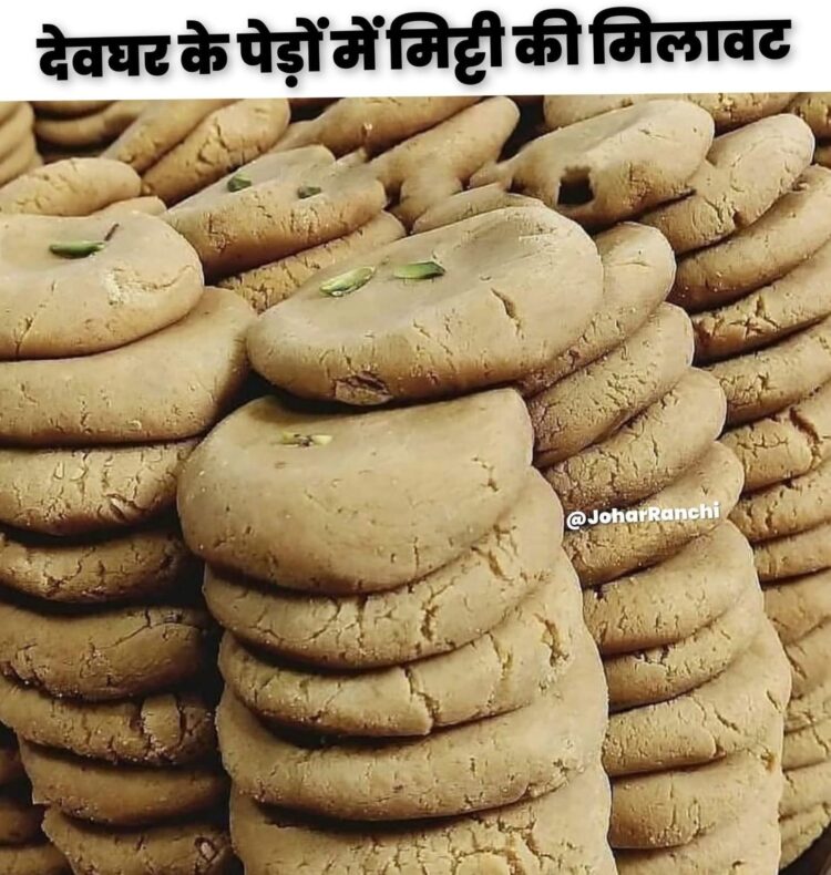 देवघर के पेड़ों में मिट्टी होने का पता चला !