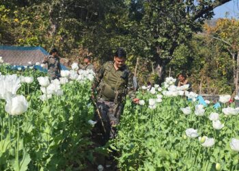 अवैध अफीम की खेती का विनष्टीकरण !
