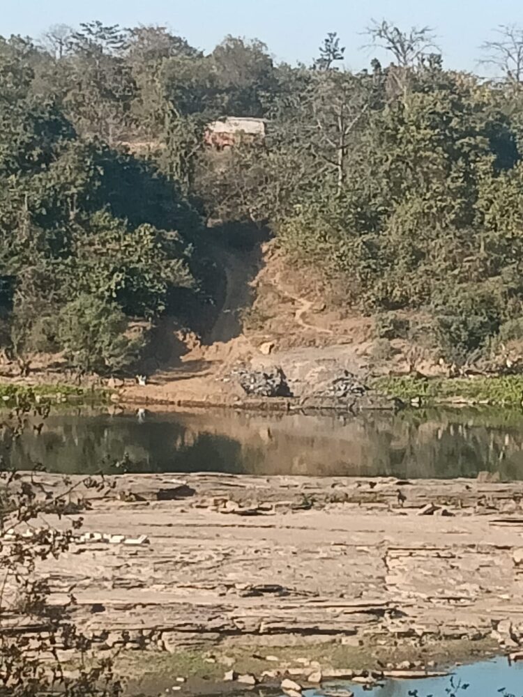 धनबाद जिला में दामोदर नदी के पेट से किनारा तक अवैध कोयला खनन -सरयू राय !