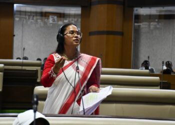 शिल्पी नेहा तिर्की के संबोधन के मुख्य अंश और बजट से संबंधित !