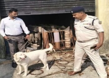 पिठोरिया बिजली ग्रिड लूटकांड !