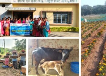 सीसीएल के इन प्रभावशाली प्रयासों को राष्ट्रीय स्तर पर व्यापक सराहना प्राप्त !