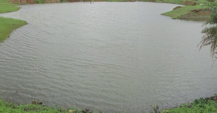 तालाब में नहाने के दौरान हादसा !